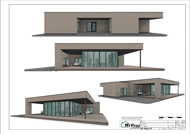 Fire 3D-perspektiver av boligen med flat takform, store glassflater og overbygd terrasse.